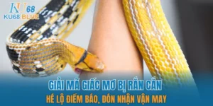 giải mã giấc mơ bị rắn cắn