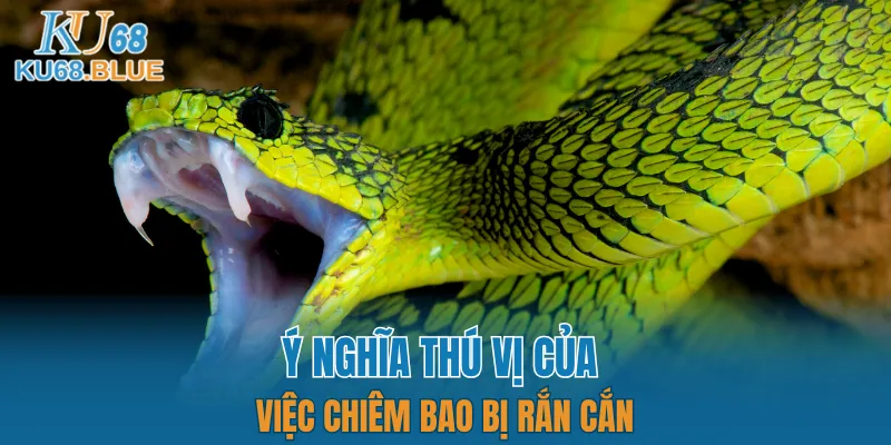 Luật Chơi Đá Gà Mới Nhất 2025 - Dân Chơi Phải Biết 6 Giải mã giấc mơ bị rắn cắn hấp dẫn
