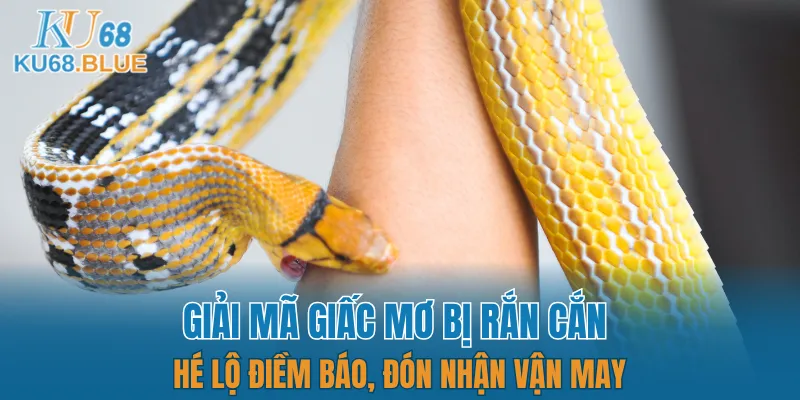 Giải Mã Giấc Mơ Bị Rắn Cắn - Hé Lộ Điềm Báo Chi Tiết 4 giải mã giấc mơ bị rắn cắn