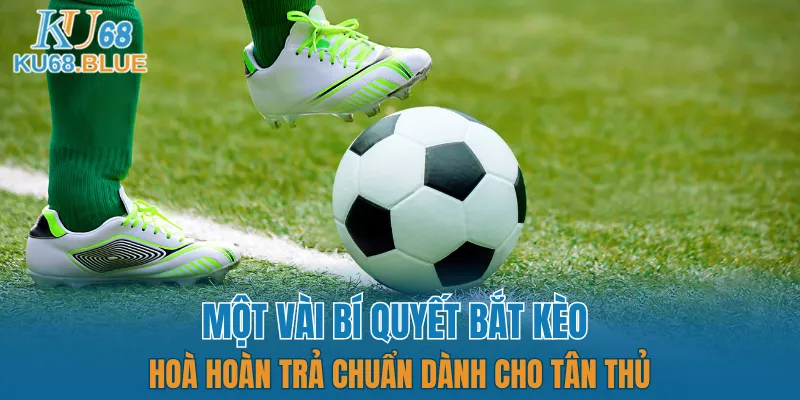 App Đá Gà Trực tiếp - Kết Nối Hội Viên Và Chiến Kê KU68 7 Kết hợp song song cùng hình thức khác trong trận đấu
