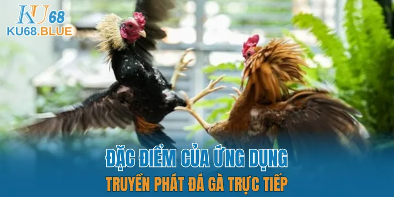 Luật Chơi Đá Gà Mới Nhất 2025 - Dân Chơi Phải Biết 6 Kết quả trận đấu luôn công bằng, minh bạch và rõ ràng