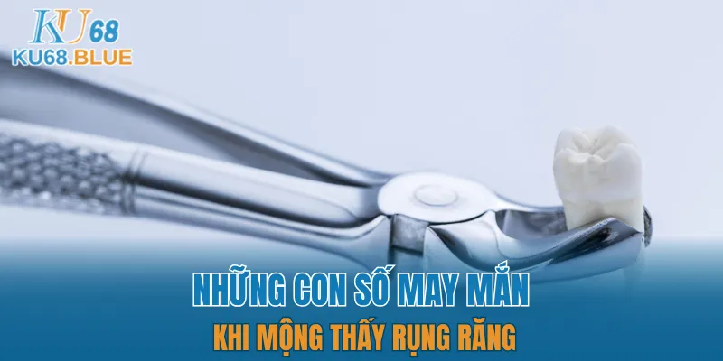 Luật Chơi Đá Gà Mới Nhất 2025 - Dân Chơi Phải Biết 7 Một số con số may mắn mà bạn nên biết khi nằm mộng