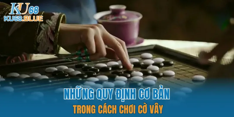 Luật Chơi Đá Gà Mới Nhất 2025 - Dân Chơi Phải Biết 6 Một số quy định trong cách chơi của bộ môn