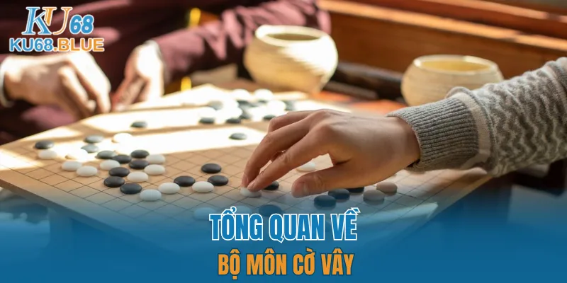 Luật Chơi Đá Gà Mới Nhất 2025 - Dân Chơi Phải Biết 5 Sơ lược một vài thông tin về bộ môn cờ vây