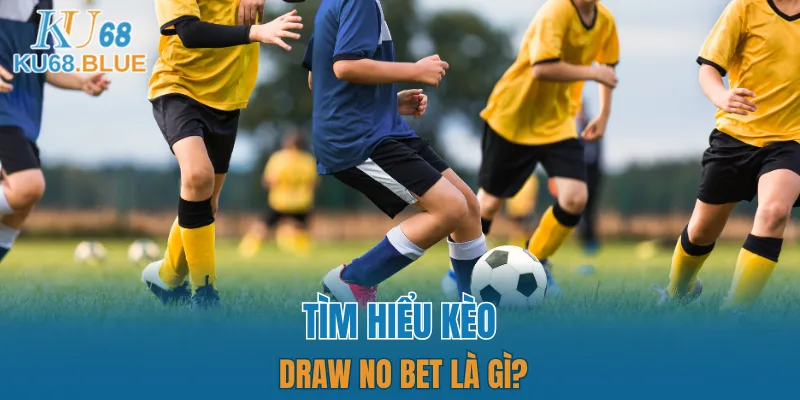 App Đá Gà Trực tiếp - Kết Nối Hội Viên Và Chiến Kê KU68 5 Tìm hiểu thông tin về kèo draw no bet
