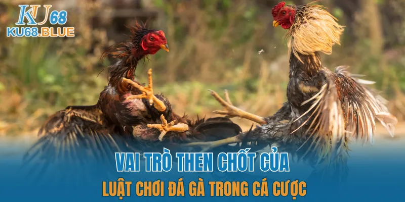 App Đá Gà Trực tiếp - Kết Nối Hội Viên Và Chiến Kê KU68 5 Vai trò của luật chơi đá gà trong cá cược