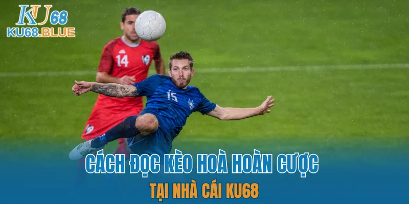 App Đá Gà Trực tiếp - Kết Nối Hội Viên Và Chiến Kê KU68 6 Ví dụ giúp người chơi hiểu được kèo hoà hoàn trả